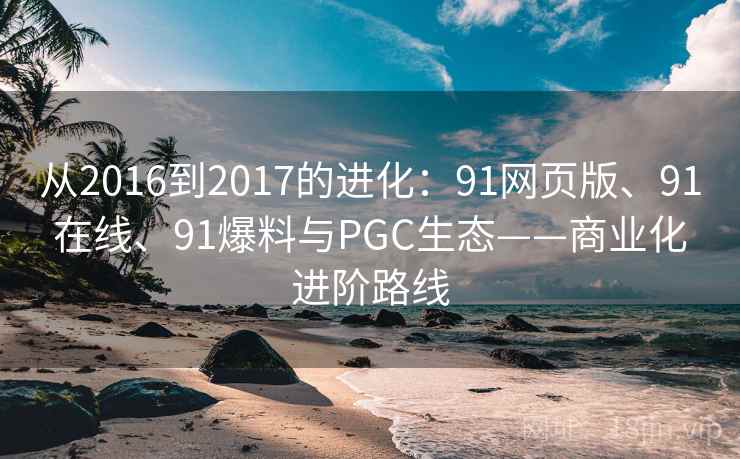 从2016到2017的进化：91网页版、91在线、91爆料与PGC生态——商业化进阶路线