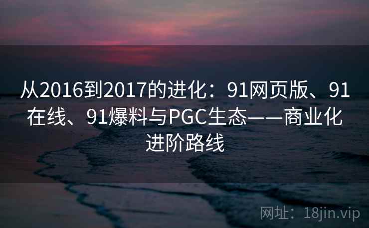 从2016到2017的进化：91网页版、91在线、91爆料与PGC生态——商业化进阶路线