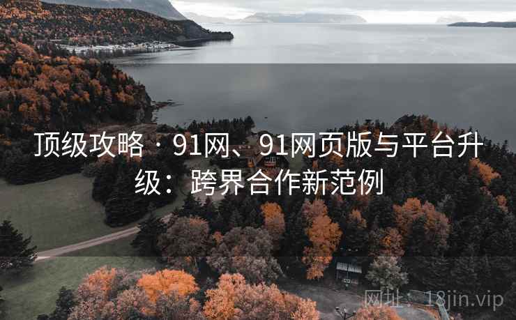 顶级攻略 · 91网、91网页版与平台升级：跨界合作新范例