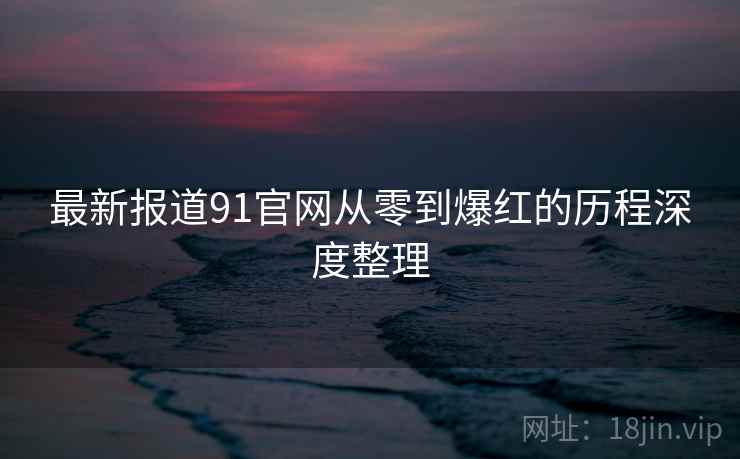 最新报道91官网从零到爆红的历程深度整理