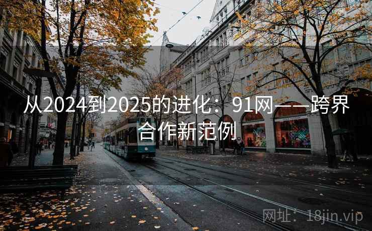 从2024到2025的进化：91网——跨界合作新范例