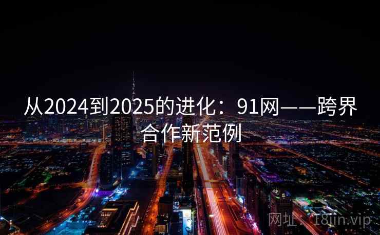 从2024到2025的进化：91网——跨界合作新范例