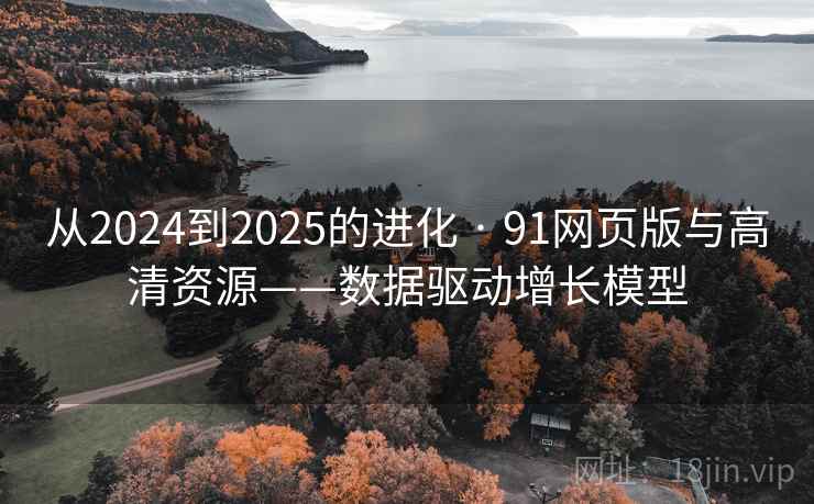 从2024到2025的进化 · 91网页版与高清资源——数据驱动增长模型
