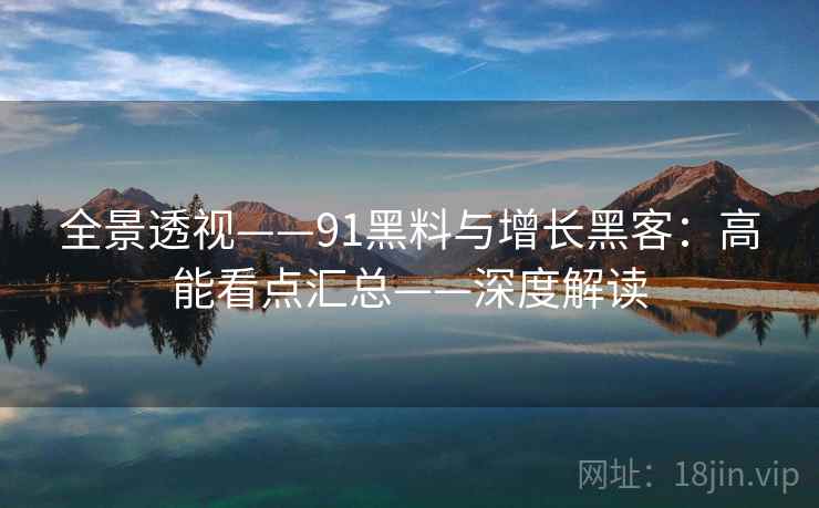 全景透视——91黑料与增长黑客：高能看点汇总——深度解读