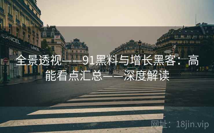 全景透视——91黑料与增长黑客：高能看点汇总——深度解读