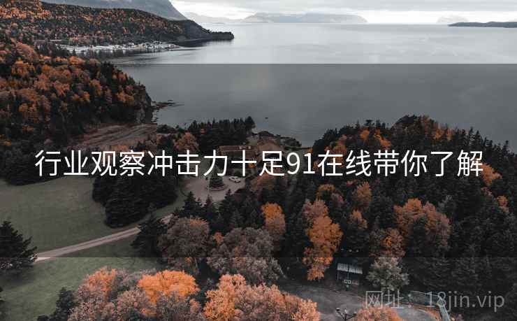 行业观察冲击力十足91在线带你了解