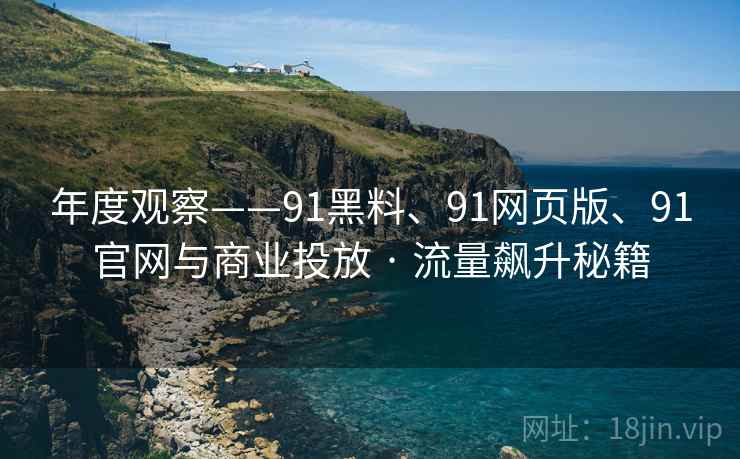 年度观察——91黑料、91网页版、91官网与商业投放 · 流量飙升秘籍