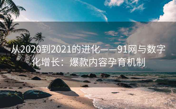 从2020到2021的进化——91网与数字化增长：爆款内容孕育机制