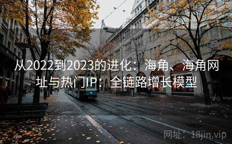 从2022到2023的进化：海角、海角网址与热门IP：全链路增长模型